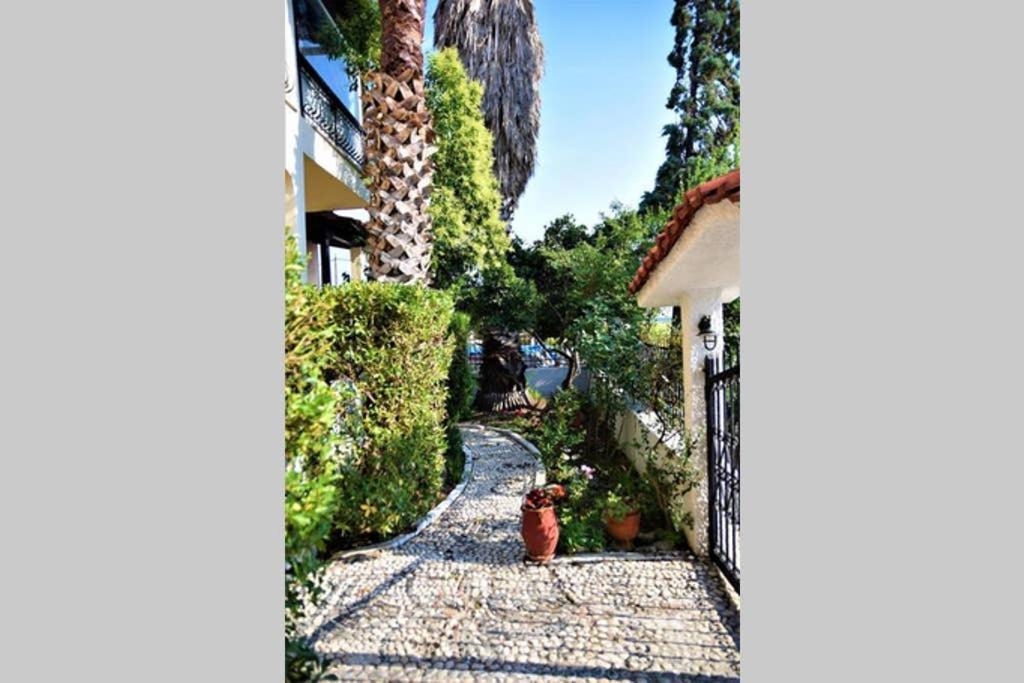 Calma Luxury Apartments #4 Sozopoli In Halkidiki 外观 照片